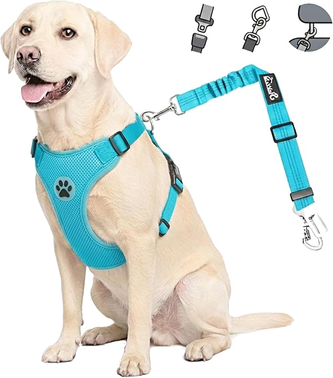 Lukovee Dog Car Harness Seat Belt, Harness & Seatbelt with 2 in 1 Buckle | Adjustable Soft Breathable Mesh Harness, Reflective Elastic Reflective Tether, for Small Medium Large Dogs Pets (L-Blue, XS) by Lukovee