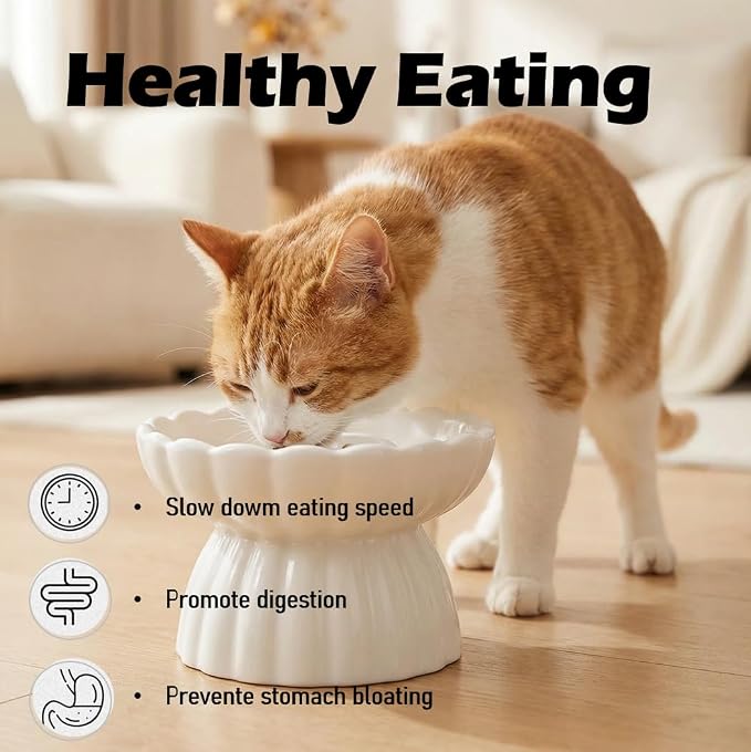 Ceramic Cat Slow Feeder, Raised Slow Feeder Cat Bowl, Anti Vomiting and Whisker Friendly Kitty Dish, Elevated Puppy Kitten Food Bowl for Dry and Wet Food (White) - Image 5