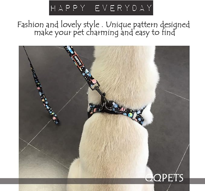 Dog Harness Leash Set Adjustable Heavy Duty No Pull Halter Harnesses for Small Medium Large Breed Dogs Back Clip Anti-Twist Perfect for Walking (M(19"-26" Chest Girth), Space) - Image 6