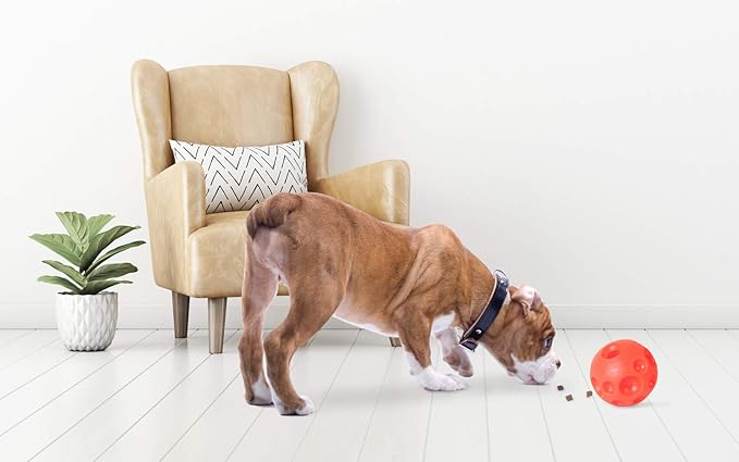 Omega Paw Authentic Tricky Treat Ball Large - Image 4