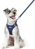 rabbitgoo Dog Harness Medium Sized and Leash Set, Step-in Puppy Pet Vest | Light, Soft, Breathable Air Mesh, Easy on and Remove with Hook & Loop, Secure Reflective for Walking, Navy Blue XL by rabbitgoo