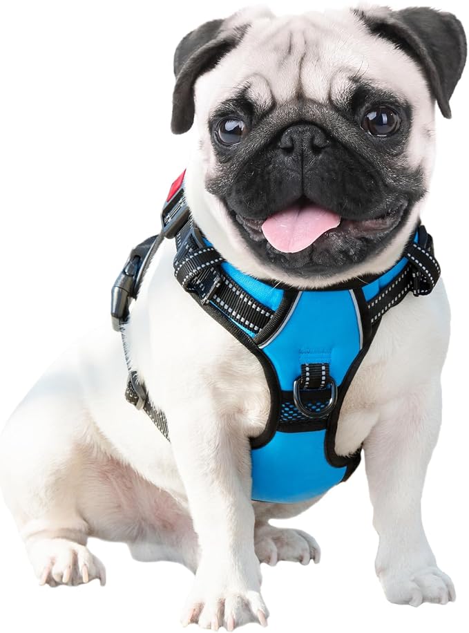 Reflective Dog Harness Large Breed Adjustable No Pull Vest | with Handle 2 Metal Rings 3 Buckles [Easy to Put on & Take off](L, Blue) - Image 6
