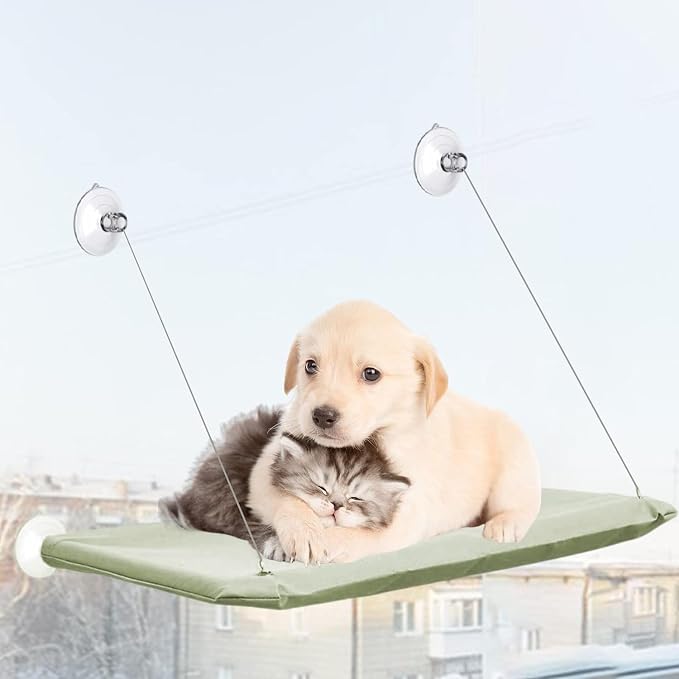 4 Pcs Thick Suction Cup Cat Window Perches Window Hammock Replacement Suction Cup for Cat Seat Perch Hammock Hanging Pet Supplies (Classic Style) - Image 6