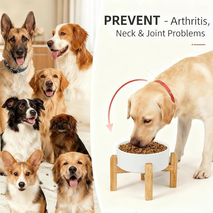 Elevated/Raised Ceramic Dog Bowl with Bamboo Stand，6 Inch 3.6 Cups Non Slip Heavy Weighted Single Pet Dish, for Small Medium Breed & Cats,Reduces Neck Strain White - Image 2