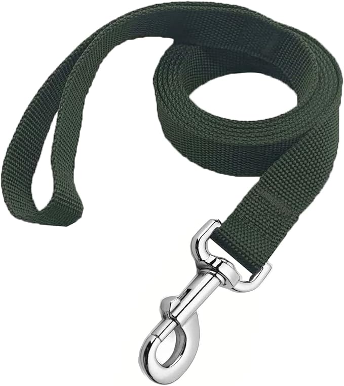 Strong Nylon Dog Leash, 4FT/ 5 FT/ 6FT Dog Leashes for Medium Large Dogs(5FT, Green) by MANDAO