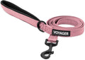 Best Pet Supplies Voyager Nylon Dog Leash - Pink, Small | 5ft in Length, 5/8" in Width, Reflective, Soft Neoprene Handle, Heavy Duty Metal Clips for Running, Walking & Training by BestPetSuppliesLLC