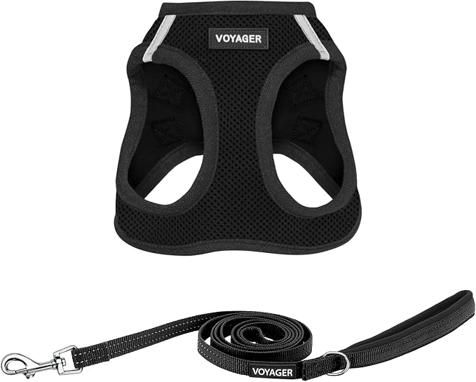 Best Pet Supplies Voyager Step-in Air All Weather Mesh Harness and Reflective Dog 5ft Leash Combo with Neoprene Handle, for Small, Medium and Large Breed Puppies - Black, XX-Small by BestPetSuppliesLLC