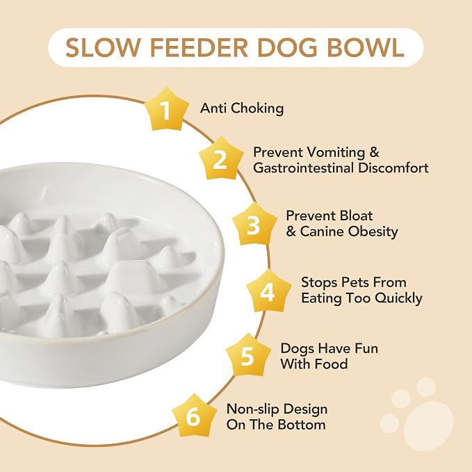 Havniva Raised Slow Feeder Dog Bowls, Elevated Dog Bowls Slow Feeder Set | 1.6 Cups Ceramic Dog Bowl Elevated with Acacia Wood Stand, Raised Dog Food Bowl, Puzzle Slow Feeder for Medium Dogs, Non-Slip - Image 8