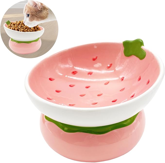 Hamiledyi Ceramic Raised Cat Bowls 15° Tilted Elevated Kitten Food Water Bowl Shallow Whisker Fatigue Kitty Dish Fruit Pet Feeding Bowls Feeder for Indoor Cats Small Dog (Pink Strawberry) by Hamiledyi