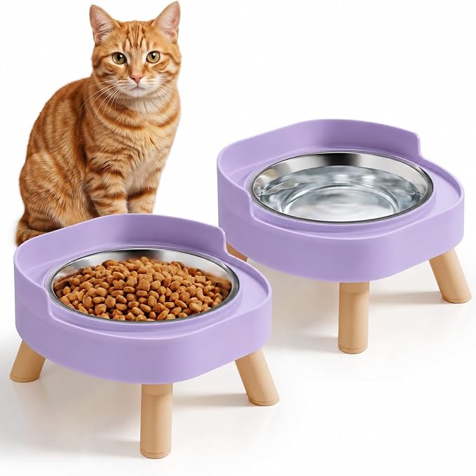Elevated Cat Bowls, 2P Raised Cat Food and Water Bowl Set for Indoor Cats, Splash Proof with 2 Stainless Steel Pet Food Bowls for Cats ＆ Puppies, Whisker Friendly and Dishwasher Safe - Purple by HIAIEVIY