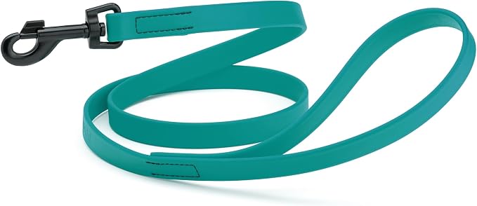 Dogline Biothane Waterproof Dog Leash Strong Coated Nylon Webbing with Black Hardware Odor-Proof Easy to Clean High Performance for Small or Large Dogs Made in USA 4 or 6 ft Lead, Blue Aqua by Dogline