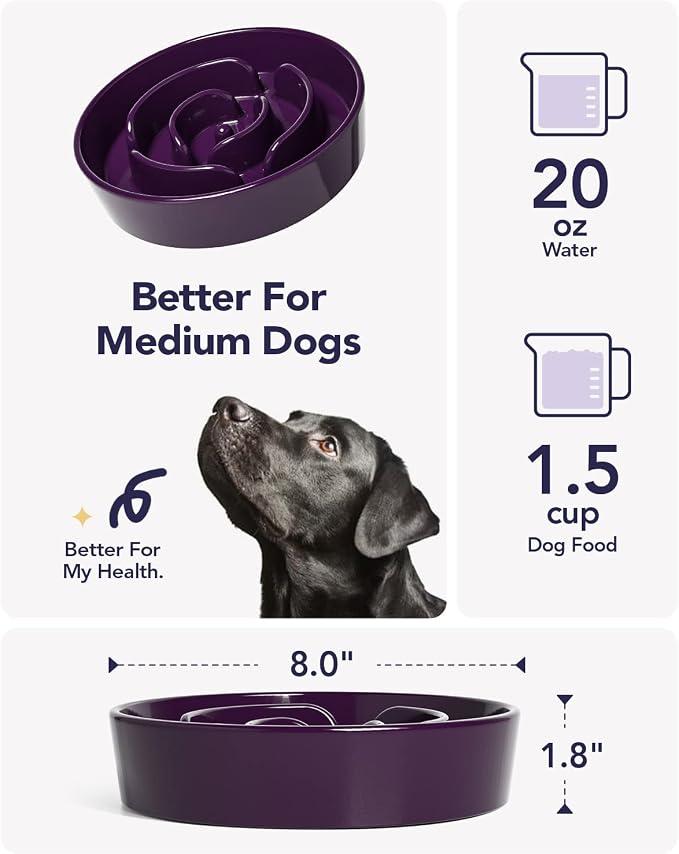 LE TAUCI Dog Bowls Slow Feeder Ceramic, 1.5 Cup Slow Feeding Bowl for Small and Medium Breed, Puzzle Dog Food Bowl for Fast Eater, Maze Purple - Image 3
