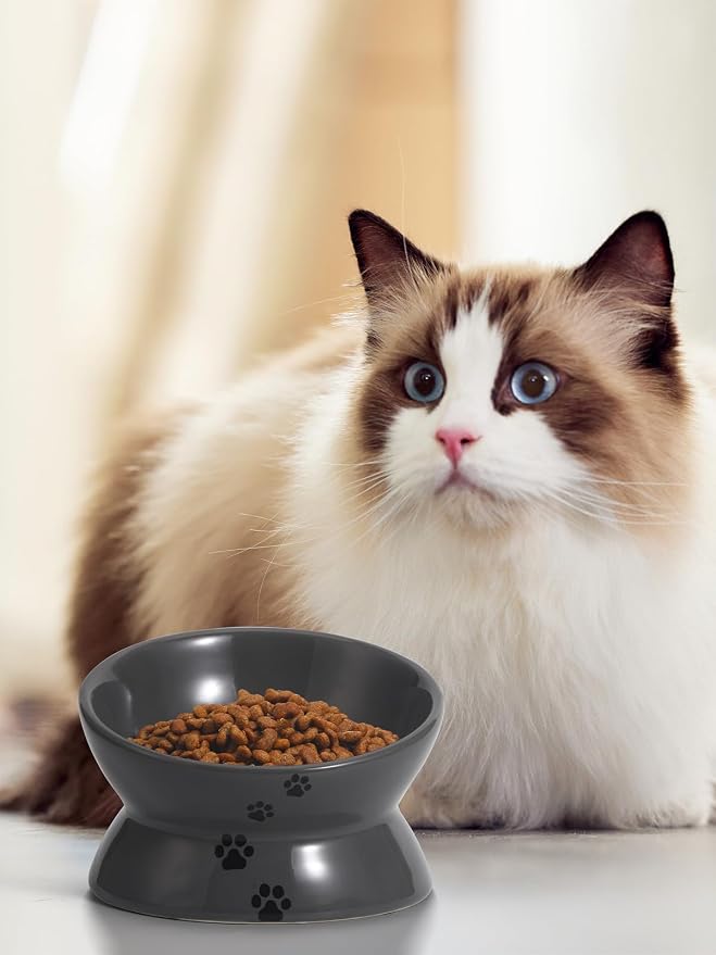 Y YHY Raised Cat Food Bowl, Ceramic Elevated Bowl, Protects Cat's Spine, Anti Vomiting, Backflow Prevention, Grey - Image 7