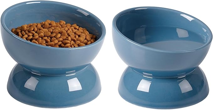 ABRUTY Cat Water Bowl, 16 OZ Ceramic Elevated Cat Bowls, 15° Tilted and Raised Pet Food Dish, Anti Vomiting Protect Pets' Spines and Whisker Fatigue, Set of 2, Blue by ABRUTY