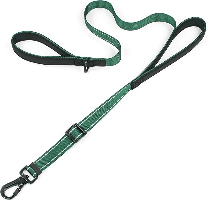 Reflective Double Handle Dog Leash for Large Medium Small Dogs (DG, S) | Heavy Duty, Adjustable with Soft Padded Handles, Traffic Control for Training, Walking, Running by Tiffpaws
