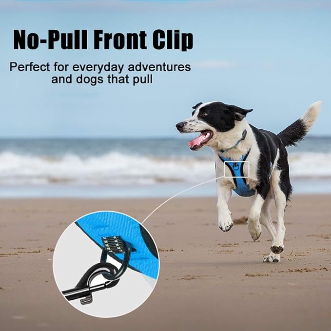 PoyPet No Pull Dog Harness Small, Reflective Vest with Front Clip & Handle | Easy On/Off, No Choke, Adjustable, 2 Leash D-rings, Soft Padded, Breathable, Oxford, for Walking Training, S, Blue - Image 2