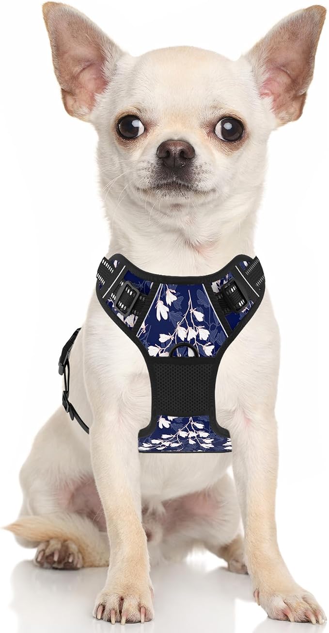 Rnivvi No Pull Dog Harness, Cute Flower Reflective X-Small Sized Puppy Harness, Adjustable Soft Padded Vest for Small Dogs, Cats, Heavy Duty Pet Vest with Easy Control Handle for Walking, Blue White - Image 2