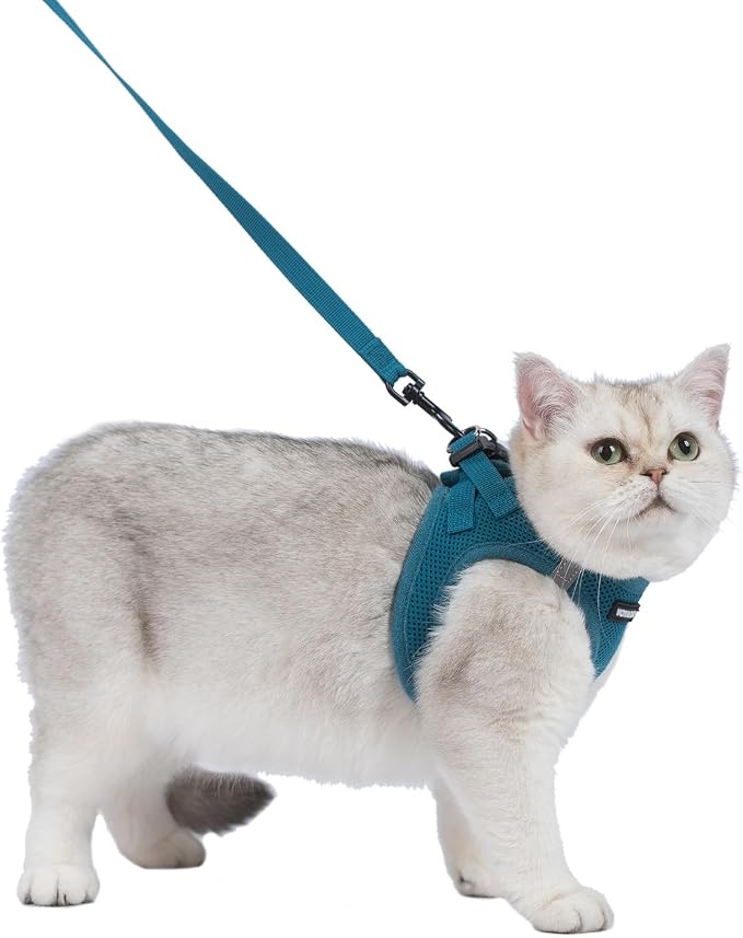 Voyager Step-in Air Cat Harness & Leash Set - Turquoise, S | 14 - 16" in Chest, Reflective Bands, All Weather Breathable Air Mesh, Cats Compatible, Fast Drying - Image 2
