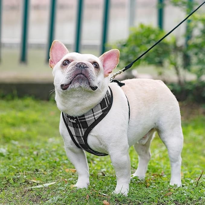 PUPTECK Small Dog Harness and Leash Set No Pull for XS XXS Sized Dogs Puppy | Escape Proof No Choke Pet Cat Adjustable Soft Padded Walking Vest - Image 7