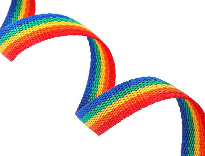 AMAGOOD 6 FT Puppy/ Dog Leash, Strong and Durable Traditional Style Leash with Easy to Use Collar Hook, Great for Small and Medium Dogs (3/4 in x 6 ft(Pack of 1), Rainbow) - Image 3