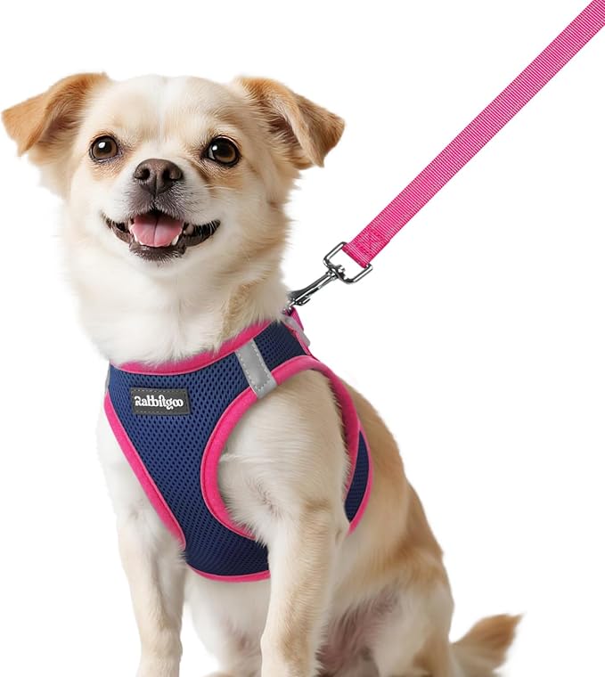 rabbitgoo Dog Harness Small Sized and Leash Set, Step in Soft Vest | Breathable Mesh, Easy Wear with Hook & Loop, Light and Reflective for Walking, Multi-colored, Navy Blue & Rose Red, XXS by rabbitgoo