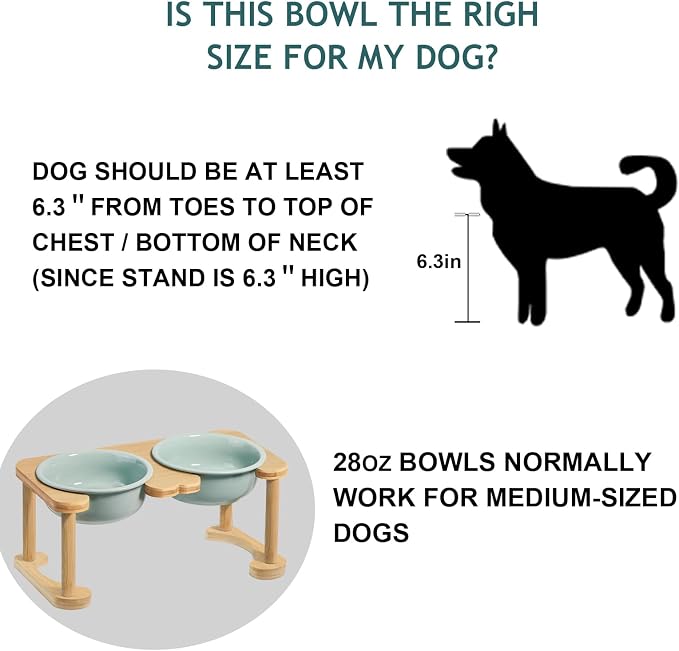 Raised Ceramic Dog Bowl, Elevated Food and Water Feeding Set, Light Green | Pet Dishes For Small and Medium Breeds, 6.9" Wide Double Modern Porcelain Bowls, 6.3" High Wooden Stand, Non-Slip, 28Oz/800ML - Image 5