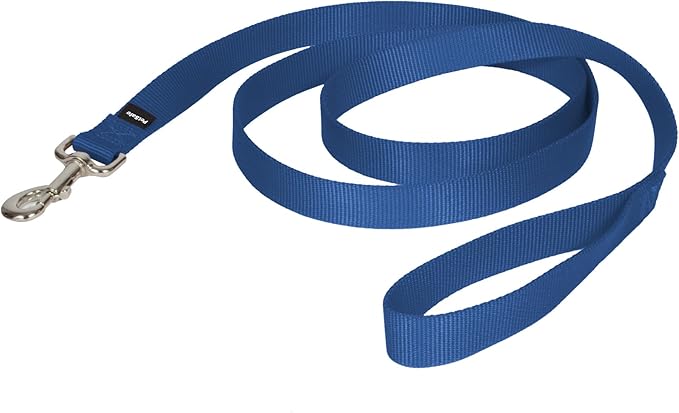 PetSafe Nylon Dog Leash - Strong, Durable, Traditional Style Leash with Easy to Use Bolt Snap - 1 in. x 6 ft., Royal Blue | Durable Nylon Leash with Easy on/off Bolt Snap Hook, Pairs Perfectly with Easy Walk Harness and Gentle Leader Headcollar by PetSafe