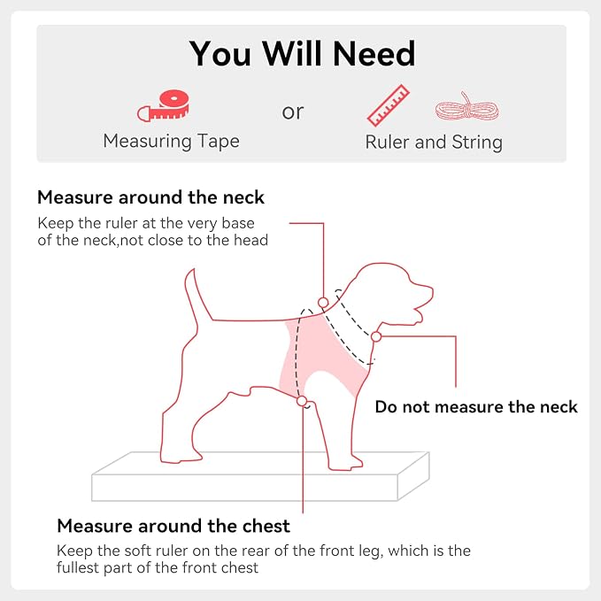 Joytale Step-in Dog Harness, Soft Breathable Mesh, Pink XL | Adjustable Fit for Small Dogs, Easy Step-in with Secure Fastener, Even Chest Pressure, Reflective For Night Safety, Washable - Image 7