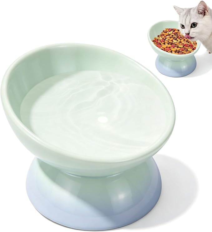 Elevated Cat Food Bowl 5 Oz Ceramic Raised Tilted Water Dishes, 15° Tilt Anti Vomiting, Protect Pets' Spines Bowls for Small Dog, Fat Faced Cat, Kitten by ISTOOLL