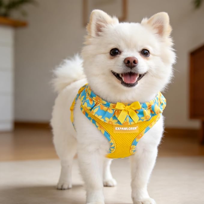 EXPAWLORER Step-in Dog Harness Small Sized and Leash Set | Cute Small Dog Harness No Pull Girl, Breathable Soft Mesh Padded, Adjustable Light Puppy Vest for Dogs Cats, Daffodil S - Image 8