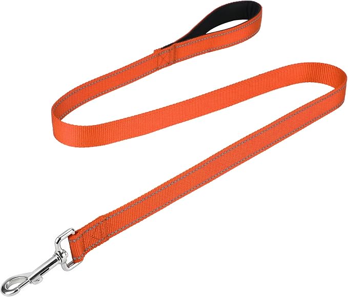 FunTags Reflective Nylon Dog Leash for Small & Medium Dogs, 4FT Training | Comfortable Padded Grip, Stay Safe at Night, 360° Anti-Tangle Swivel, for Dog Parks & Trails, Orange by FUNSTARTSHERE