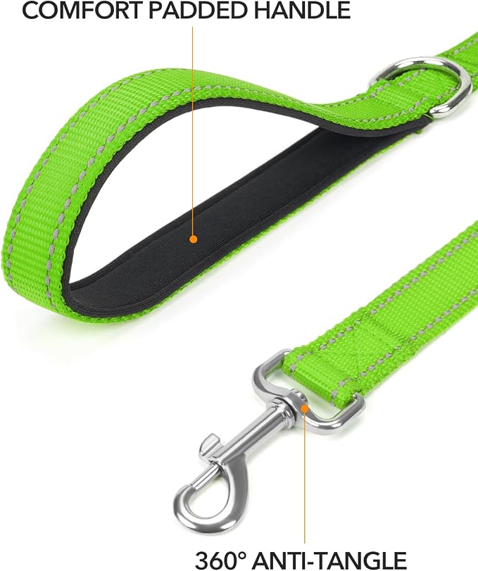 Taglory Reflective Dog Leash for Small Dogs, 3/4in x 4ft, Neon Green | Ideal for Night Walking, Strong for Sudden Pulls, Lightweight & Gentle on the Neck, Soft Padded Handle - Image 2