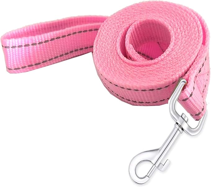 Reflective Dog Leash 4Ft /6 Feet Long, 3/4 Inch Wide, for Small and Medium Dogs by TAIDA