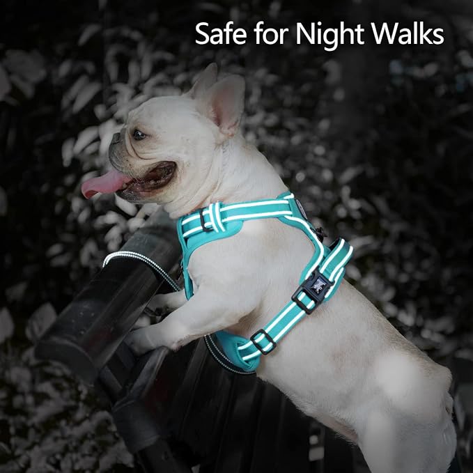 PoyPet No Pull Dog Harness, Reflective Vest with 2 Leash Clips & Handle | Lockable Neck Release Buckle, No Choke, Adjustable, Soft Padded, for Walking Training, Mint Blue Matching Trim, Large - Image 5
