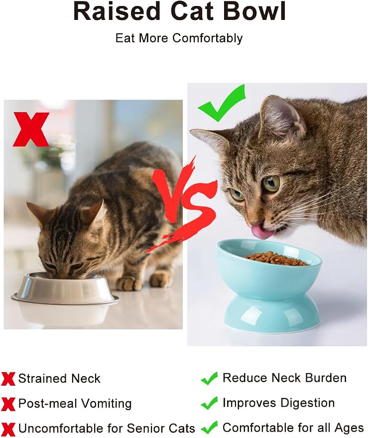 ABRUTY Cat Water Bowl, 16 OZ Ceramic Elevated Cat Bowls, 15° Tilted and Raised Pet Food Dish, Anti Vomiting Protect Pets' Spines and Whisker Fatigue, Set of 2, Turquoise - Image 6