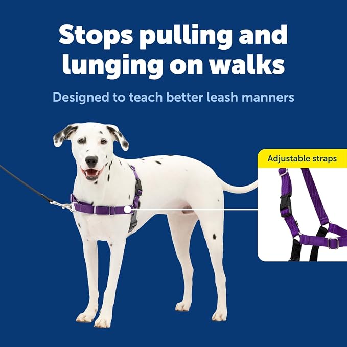PetSafe Easy Walk Harness, No Pull Dog Harness, Black, Medium/Large | Patented Martingale Loop Gives Gradual Shoulder Pressure to Stop Pulling, Front-Chest Leash Clip Prevents Gagging - Image 3