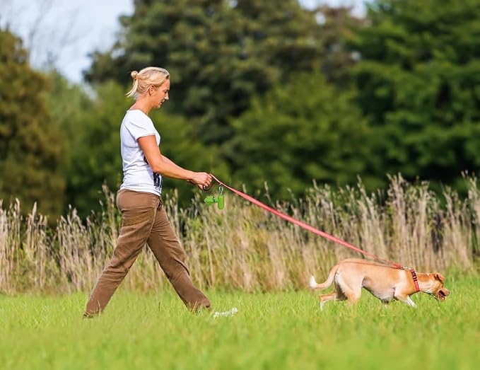 Taglory Reflective Dog Leash for Small Dogs, 3/4in x 5ft, Pink | Ideal for Night Walking, Strong for Sudden Pulls, Lightweight & Gentle on the Neck, Soft Padded Handle - Image 7