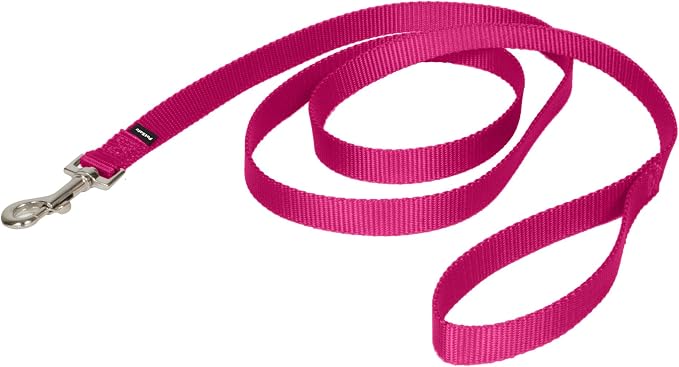 PetSafe Nylon Dog Leash - Strong, Durable, Traditional Style Leash with Easy to Use Bolt Snap - 3/4 in. x 6 ft., Deep Purple | Durable Nylon Leash with Easy on/off Bolt Snap Hook, Pairs Perfectly with Easy Walk Harness and Gentle Leader Headcollar by PetSafe