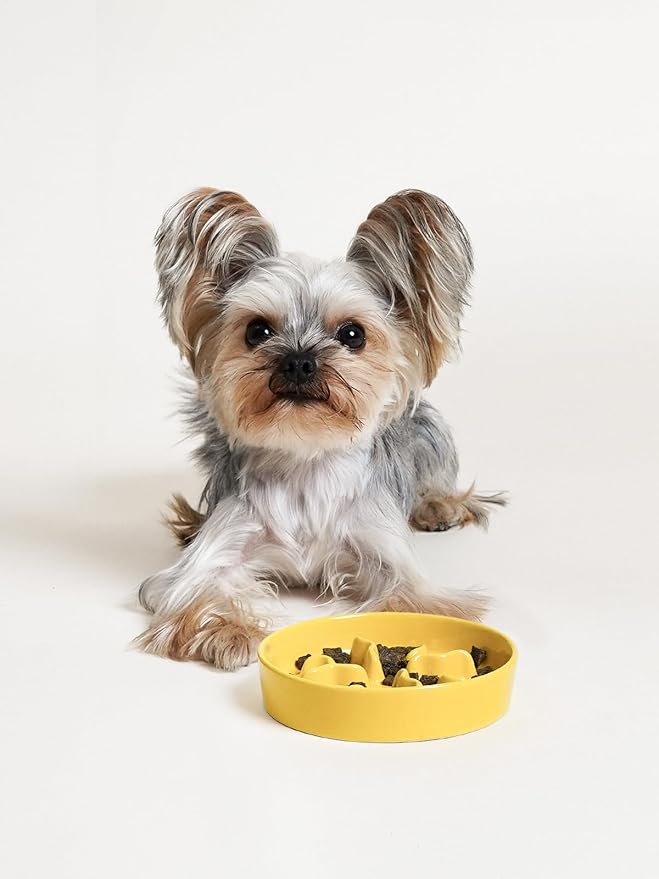 LE TAUCI PET Ceramic Slow Feeder Dog Bowls Small Breed, 0.5 Cups Dog Food Dish for Fast Eaters, Puzzle Bowl for Small Dogs and Cats, 5.5 Inch-Yellow - Image 5