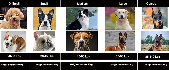 ICEFANG No Pull Tactical Dog Harness for X-Small Dogs,Adjustable Dog Vest | Control Handle,MOLLE Panel,Front Hook,3 Leash Clips,Soft Padded,for walking training,Grey,X-Small - Image 2