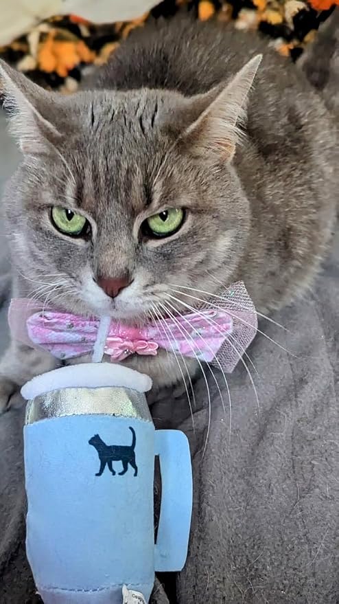 PUPROAR Kitty Cup Catnip Cat Toy, Cute Kitten Gift, Cat Birthday Toy with Crinkle for Indoor Cats (Chambray Blue) - Image 2