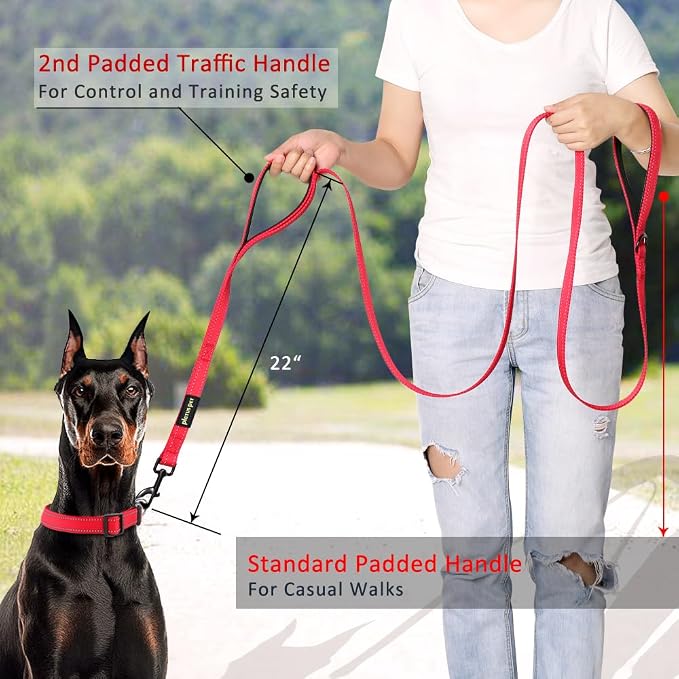 Plutus Pet Double Handle Dog Leash, 6 FT Long, for Medium Large Dogs | Reflective Nylon, Soft Padded 2 Handles, Heavy Duty for Training, Dual Handle Lead, 6 FT x 1”, Red - Image 2