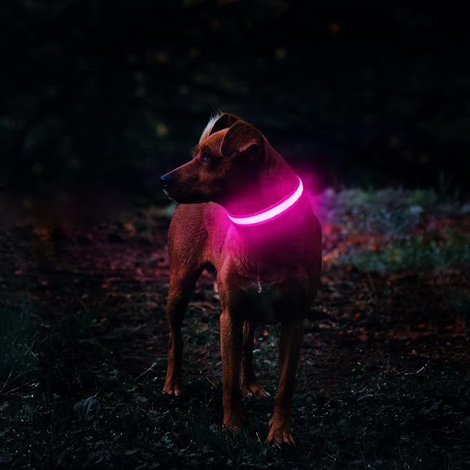 MASBRILL Light Up Dog Collar, LED Glow Collar with USB Rechargeable Lighted Bright Flashing Pink Dog Collar Waterproof for Small Medium Large Dogs, 4 Colors with 3 Sizes (S(0.98 * 15.75"), Pink) - Image 2