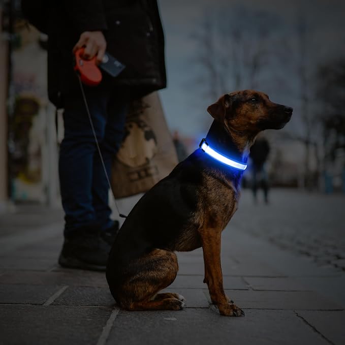 Illumifun LED Dog Collar, Water-Resistant Light Up Dog Collar, Safety Dog Collar Light for Your Dogs Walking Camping(Blue, X-Large) - Image 7
