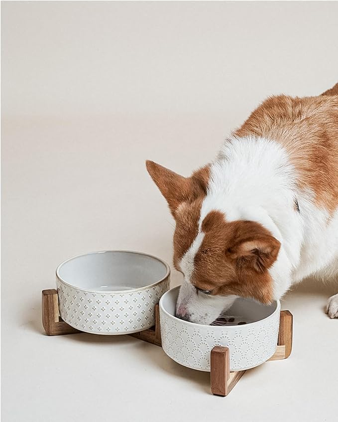 LE TAUCI Dog Bowls Ceramic for Small Medium Dogs - 4-Cup Dual Food & Water Bowl Set with Acacia Wood Stand, Non-Slip Anti-Tip Elevated Design - Image 8