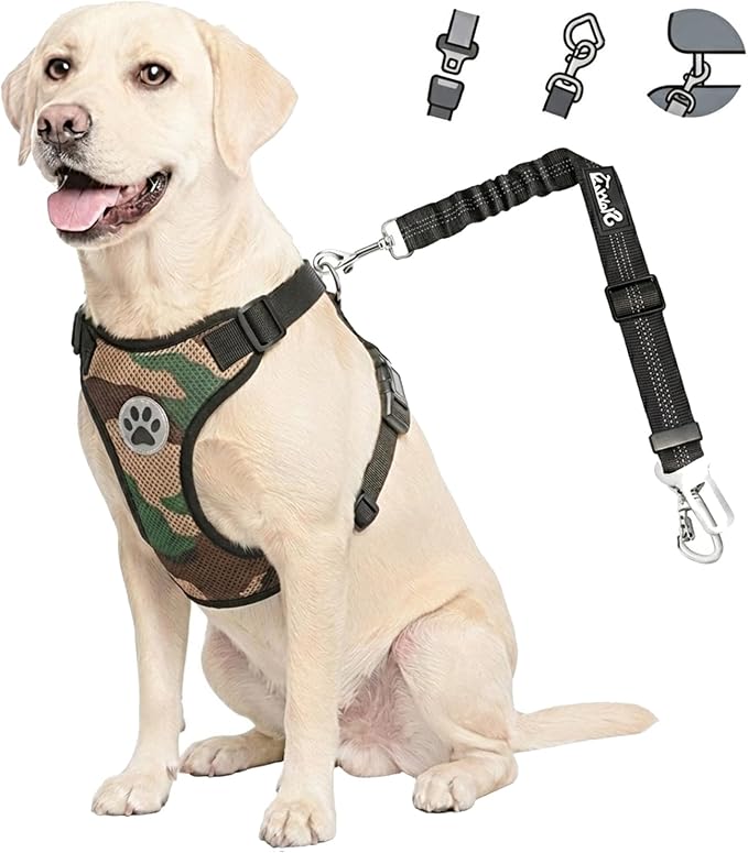 Lukovee Dog Car Harness Seat Belt, Harness & Seatbelt with 2 in 1 Buckle | Adjustable Soft Breathable Mesh Harness, Reflective Elastic Reflective Tether, for Small Medium Large Dogs Pets (CF, S) by Lukovee