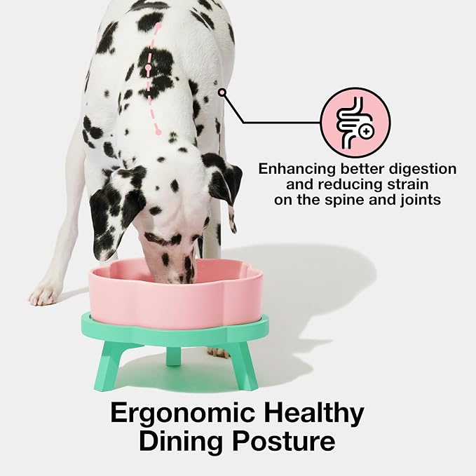 VETRESKA Elevated Dog Bowls Large Breed, 40 oz Ceramic Raised Dog Bowl | Flower-Shaped Food Water Bowl with Bamboo Stand, Feeding Dish Bowls for Medium/Large Dogs and Cats - Image 2