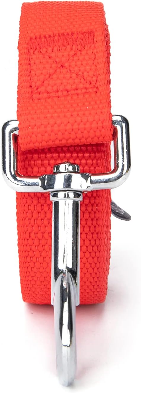 Strong Durable Nylon Dog Training Leash, 1 Inch Wide Traction Rope, 6 ft 10ft 15ft Long, for Small and Medium Dog (Red, 10 Feet) - Image 8