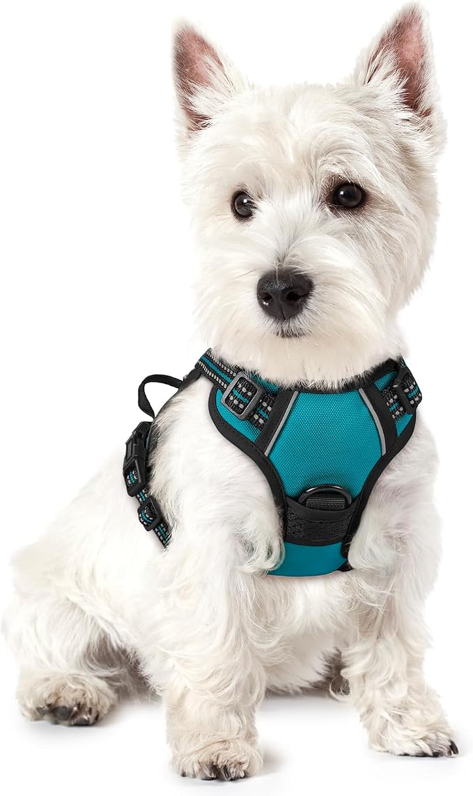 rabbitgoo Dog Harness No Pull with 2 Leash Clips, Adjustable Soft Padded, Reflective Oxford No Choke Pet Vest with Easy Control Handle for Puppy, Teal, XS | No Choke with Handle, Adjustable Soft Padded, Reflective, Easy Control for Walking, Teal, X-Small by rabbitgoo