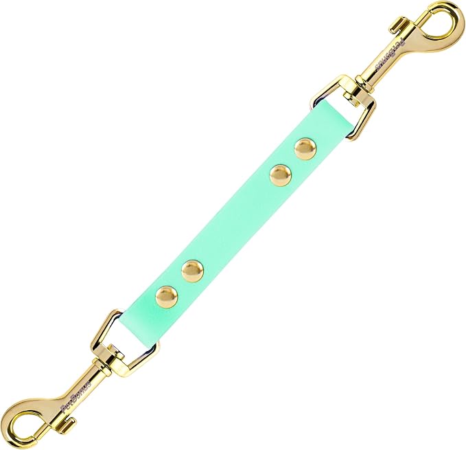 PetBonus Dog Collar Safety Clip, Waterproof Backup Safety Strap | Prong Collar to Harness Connector, Escape Proof, Odor Proof, Easy to Clean, Double Ended Clasp for Training, Mint Green by Petbonus